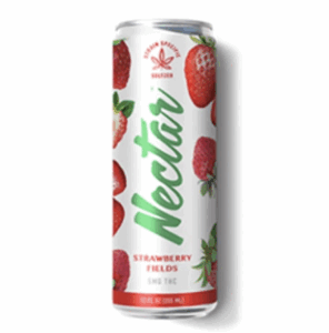 Strawberry Fields Infused Seltzer | 5mg