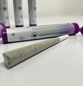 Where's My Bike Preroll | 1g