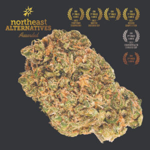 Sour Tsunami | 3.5g CBD Flower