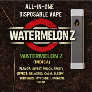 Watermelon Z | 1g Disposable Vape