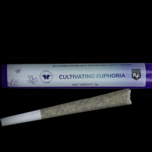 Ghost Ride Bubble Hash Infused Preroll | 1g