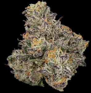 Sherb Cream Pie | 3.5g