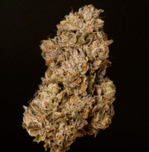 Sherb Cream Pie - 3.5g
