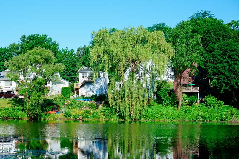• Spliff Second cannabis delivery natick massachusetts