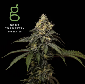 Dosi Face - 3.5g