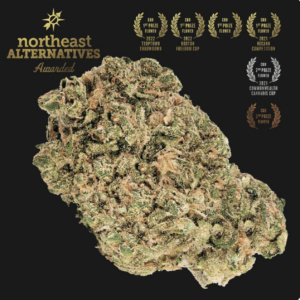 Sour Tsunami  3.5 G Premium Flower