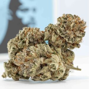 Hazy OG Premium Flower Reserve - 3.5g