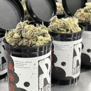 Long Beach OG Mids Popcorn -7g