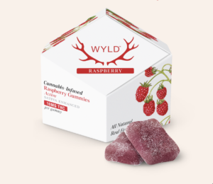 Raspberry Gummies - 100mg - 100mg 10PK
