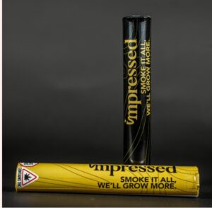 Gypsie Rose Preroll - 1g