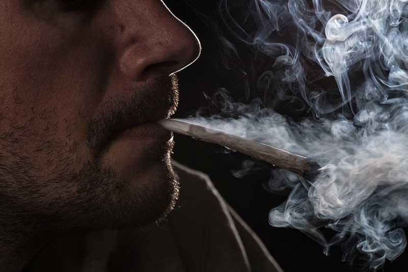 • Spliff Second Inhaling Cannabis for Beginners