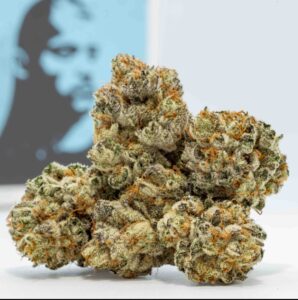 General Zod Premium Flower Reserve - 3.5g
