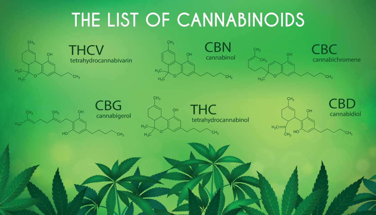 • Spliff Second what are cannabinoids
