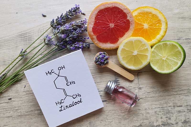 • Spliff Second what do linalool terpenes do?