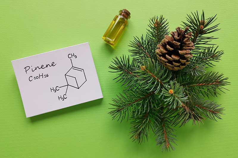 • Spliff Second what do myrcene pinene do?