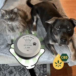 CBD Pet Paw Balm - 50mg