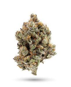Grape Cream Cake - 3.5g