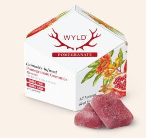 Pomegranate 1:1 CBD:THC Gu1mmies - 100mg, 20pk