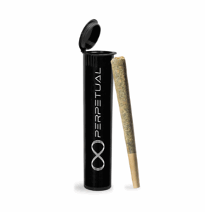 Cream Royale #2 Preroll - 1g