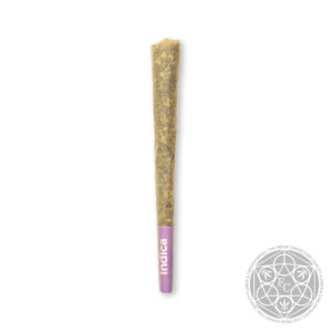 FC Black Papaya Preroll | 1g