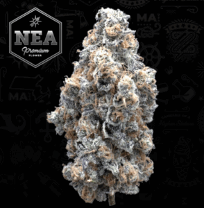 Street Tartz | 3.5g NEA Premium