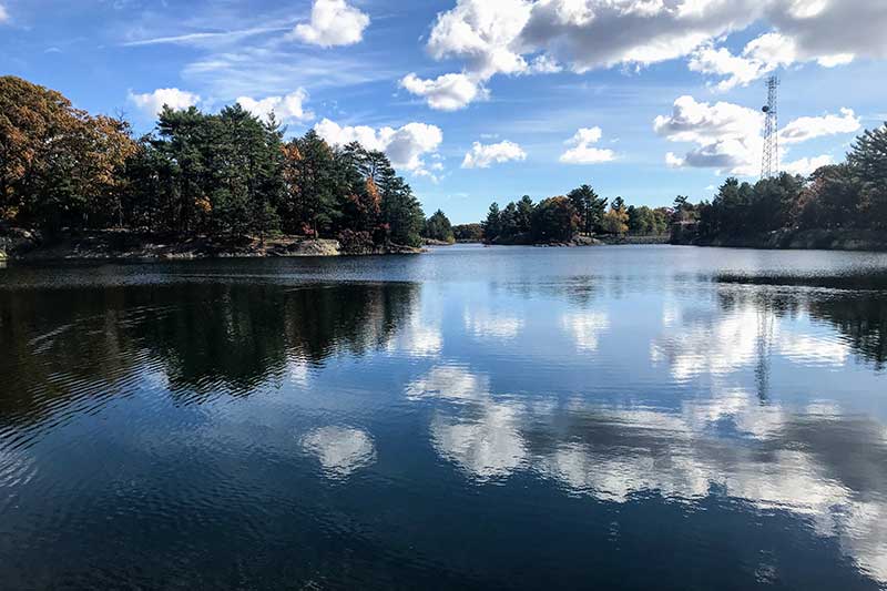 cannabis delivery medford