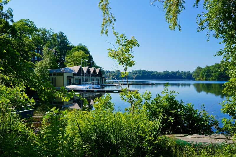 cannabis delivery wellesley massachusetts