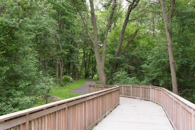 cannabis delivery mattapan boston