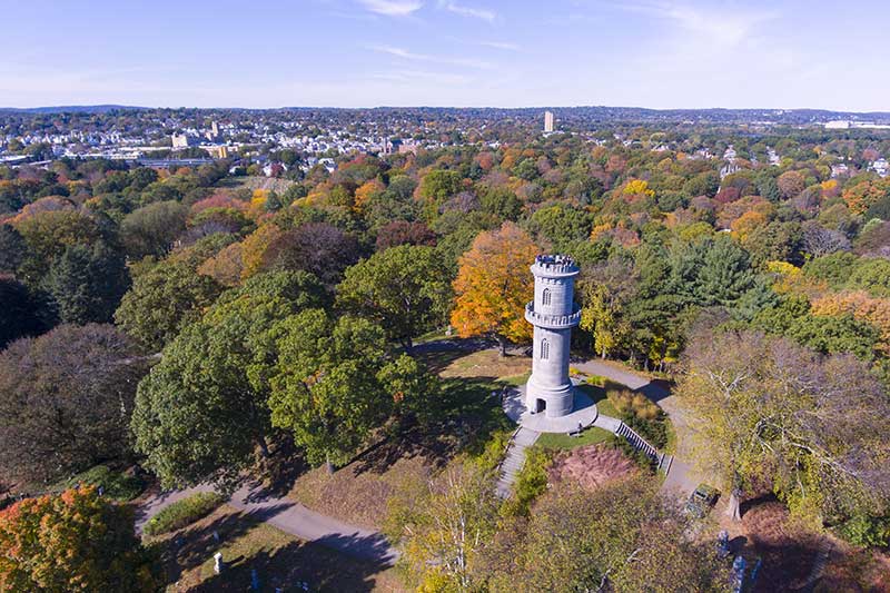 cannabis delivery watertown massachusetts