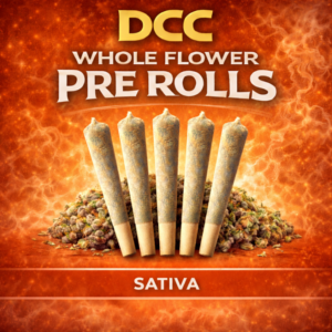 V6 Haze Preroll | 1g