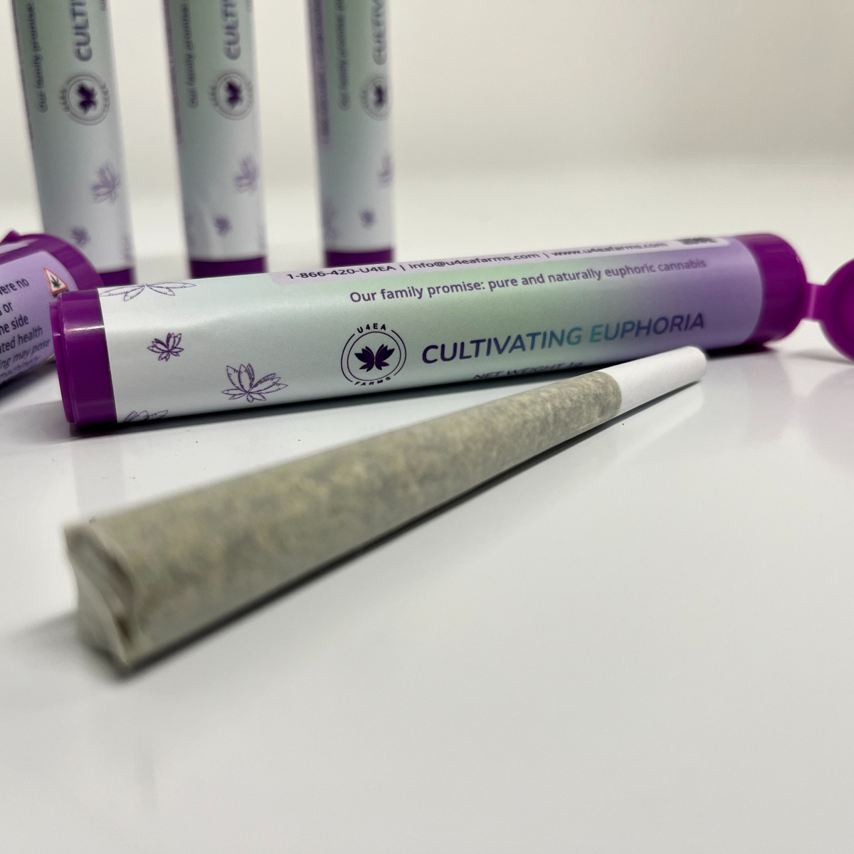 Mad Honey Preroll | 1g