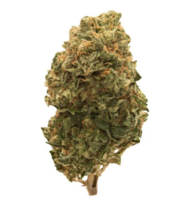 Garlic Freeze | 3.5g Premium Flower