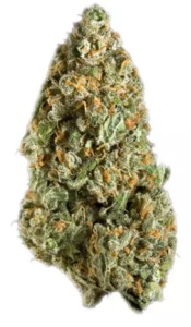 Madd Fruit | 1g Preroll