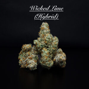 Wicked Lime | 3.5g A Buds
