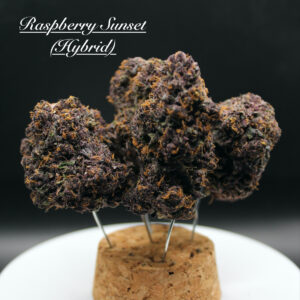 Raspberry Sunset | 3.5g A Buds