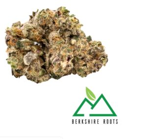 Slurricane | 3.5g Indica Flower